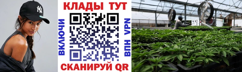 Купить наркотик Мещовск Cocaine  гидра ссылка  Меф мяу мяу  СОЛЬ  АМФ  Кодеин  ГАШИШ  Марихуана 