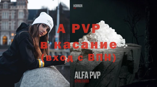 экстази Бородино