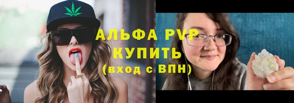 экстази Бородино
