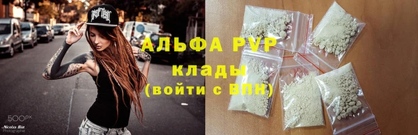 экстази Бородино