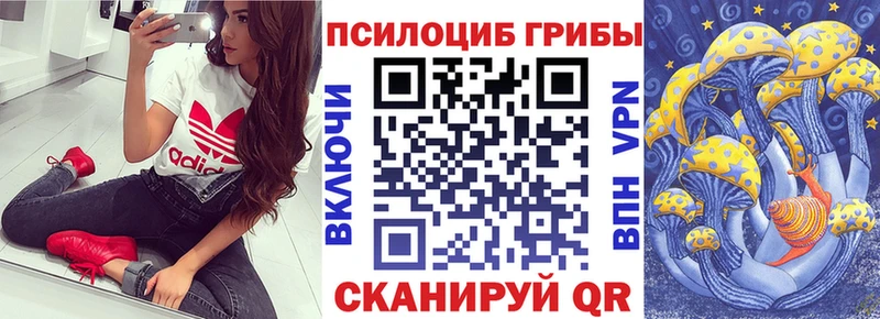 ОМГ ОМГ маркетплейс Мещовск Псилоцибиновые грибы MAGIC MUSHROOMS
